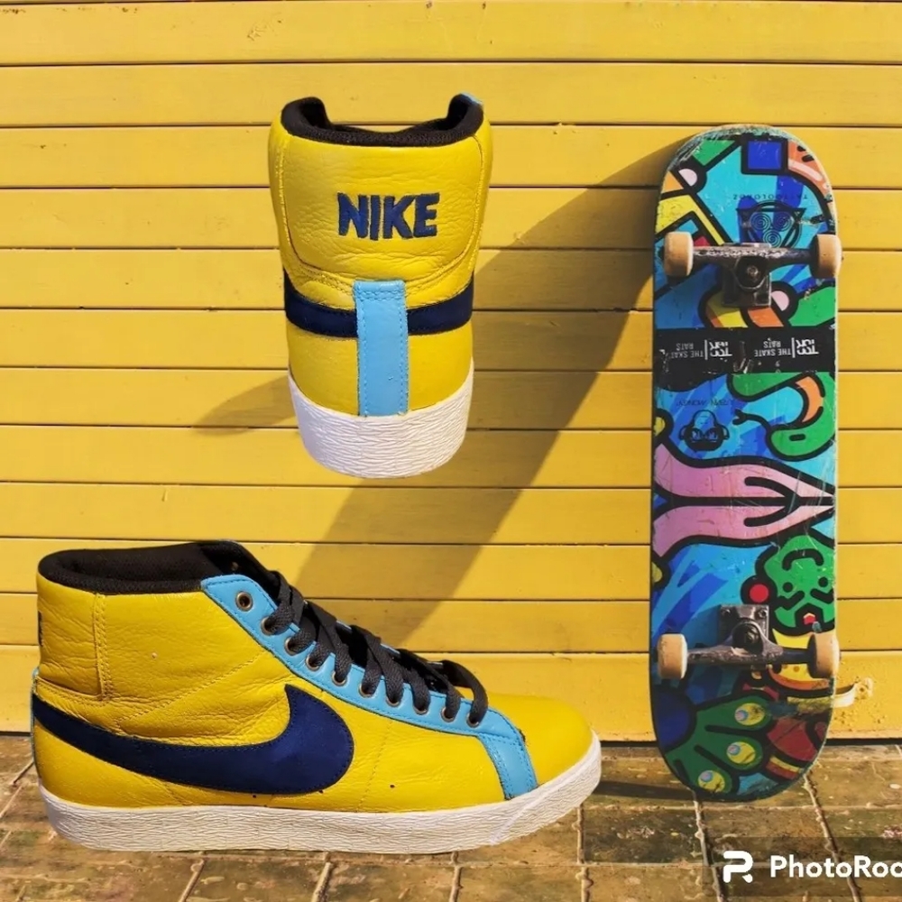 Custom Nike Lance Mountain Blazer SB Elite Pool Service sz 9